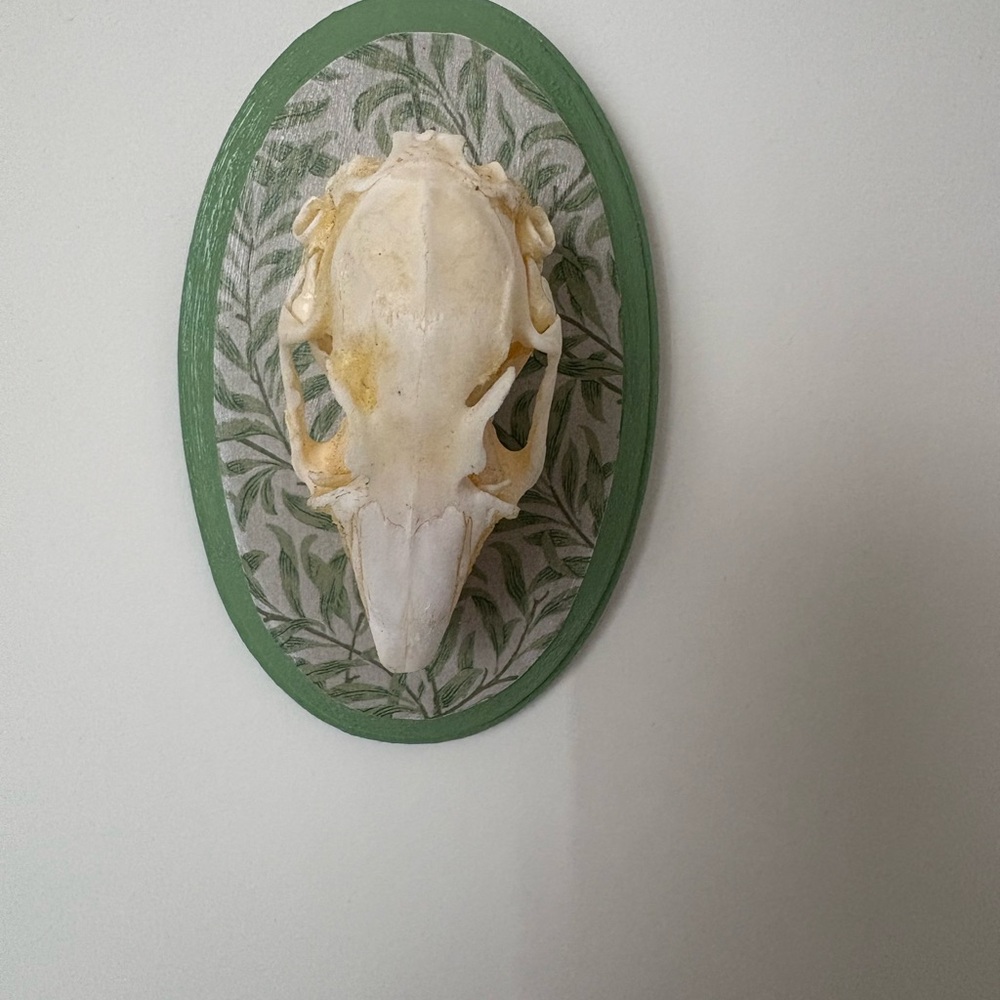 Decorative Animal Skull Wall Art